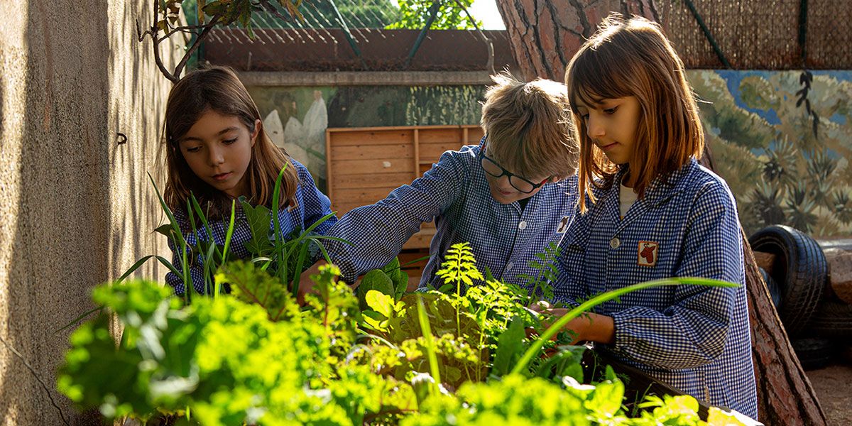 L’hort i els animals